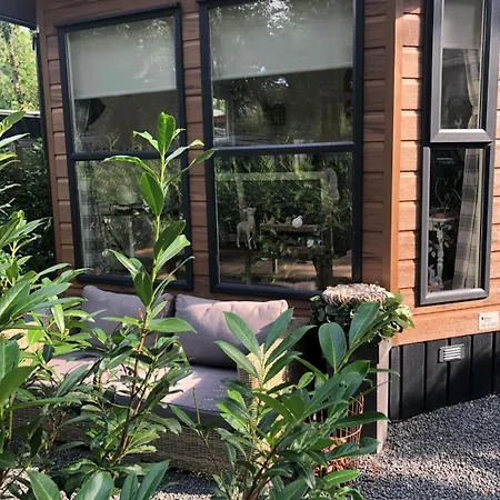 Maison Zeldenrust Chalet