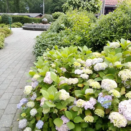 Chalet Maison Zeldenrust Hoenderloo