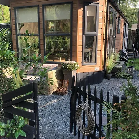 Maison Zeldenrust Chalet